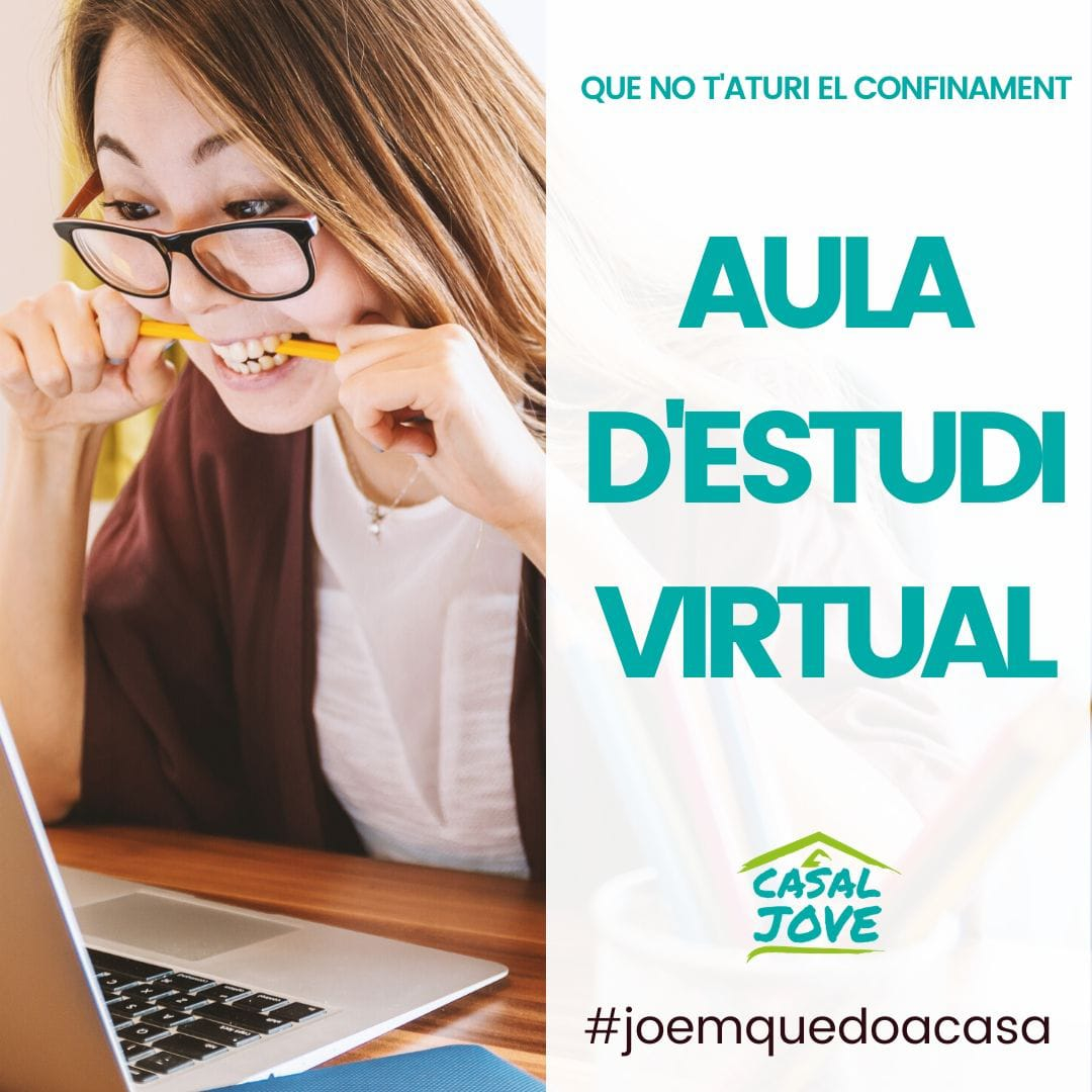 aula virtual1