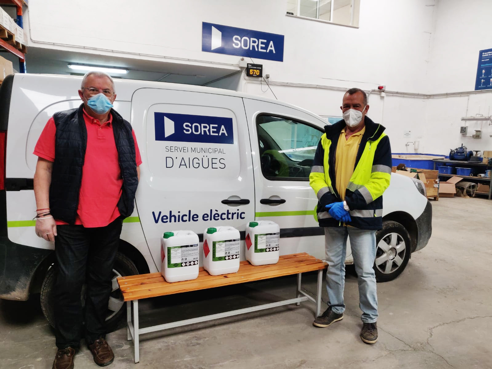 sorea